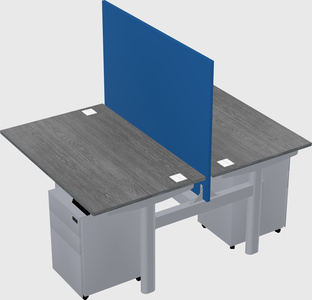 Shared electric desk