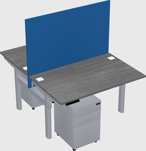 Shared electric desk