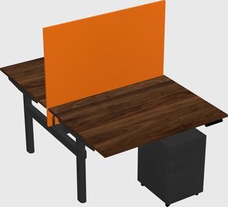 Shared electric desk