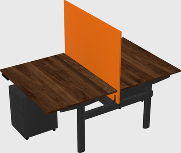 Shared electric desk