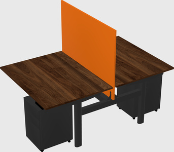 Shared electric desk