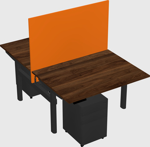 Shared electric desk