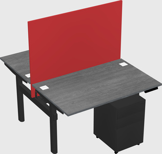 Shared electric desk