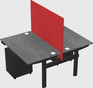 Shared electric desk