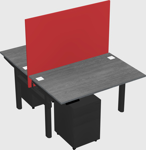 Shared electric desk