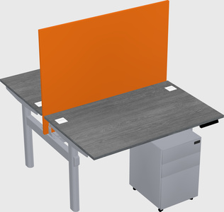 Shared electric desk
