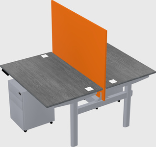 Shared electric desk