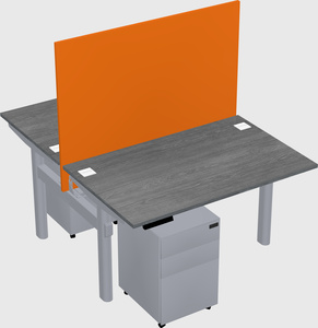 Shared electric desk