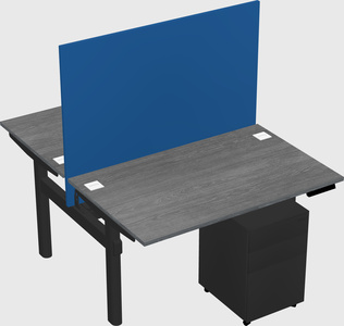 Shared electric desk