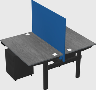 Shared electric desk