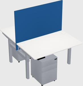 Shared electric desk