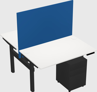 Shared electric desk