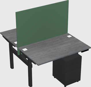 Shared electric desk