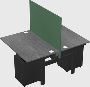 Shared electric desk
