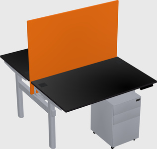 Shared electric desk