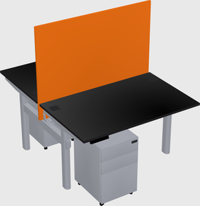 Shared electric desk