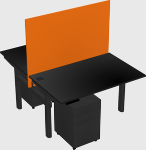 Shared electric desk