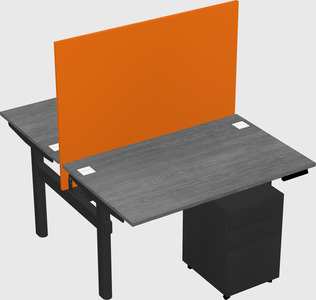 Shared electric desk