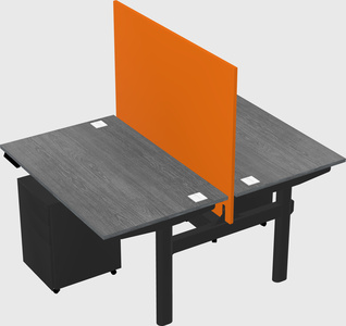 Shared electric desk