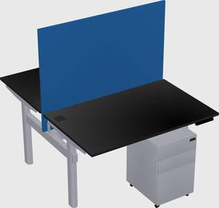 Shared electric desk