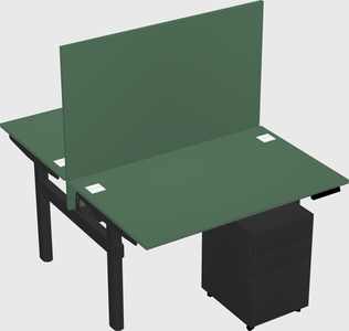 Shared electric desk