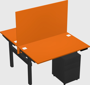 Shared electric desk