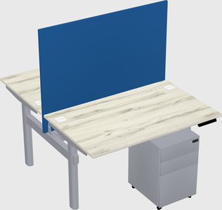 Shared electric desk