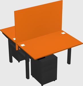 Shared electric desk