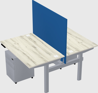 Shared electric desk