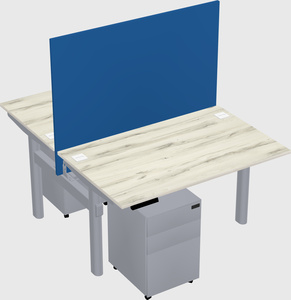 Shared electric desk