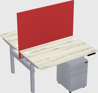 Shared electric desk