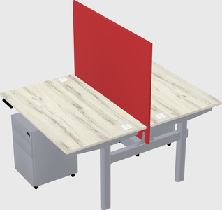 Shared electric desk