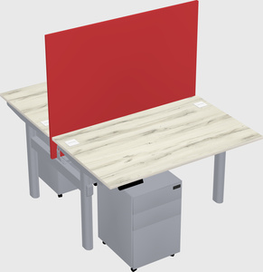 Shared electric desk