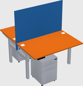 Shared electric desk