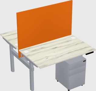 Shared electric desk