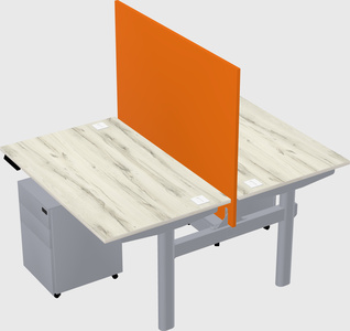 Shared electric desk