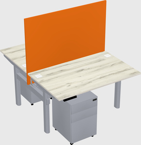 Shared electric desk