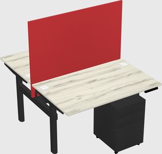 Shared electric desk