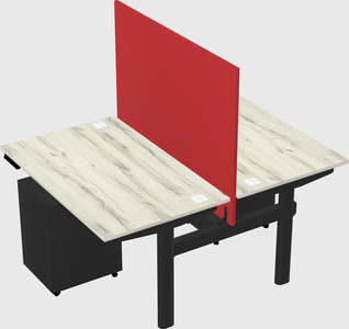 Shared electric desk