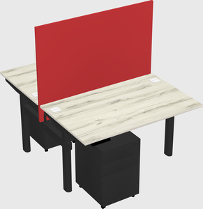 Shared electric desk