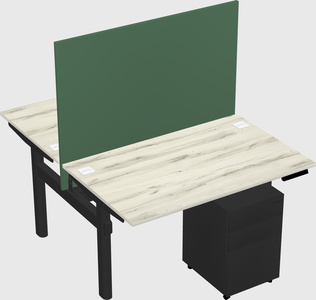 Shared electric desk