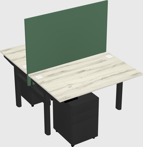 Shared electric desk