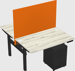 Shared electric desk