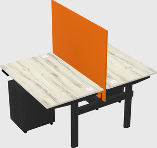 Shared electric desk