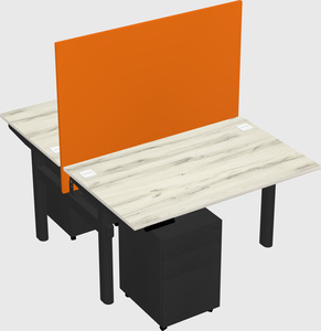 Shared electric desk