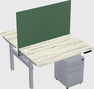 Shared electric desk