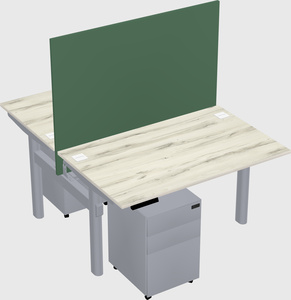 Shared electric desk