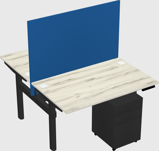 Shared electric desk