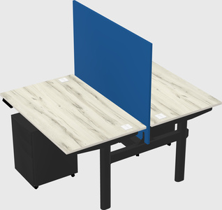 Shared electric desk