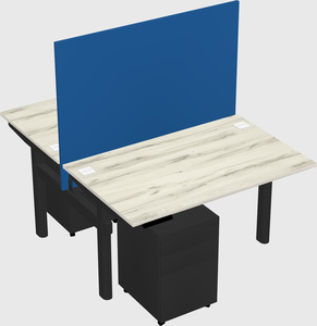 Shared electric desk